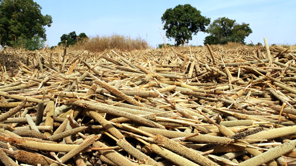 Photo: Andrey Diarra