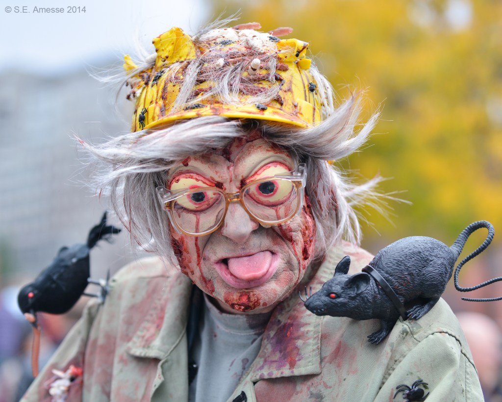 Marche_zombies_2014_1