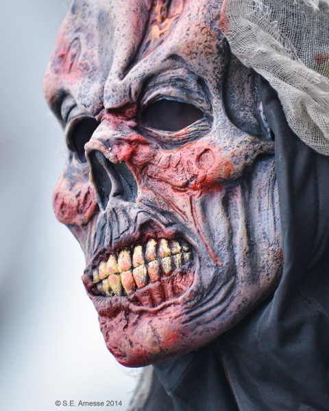 Marche_zombies_2014_14