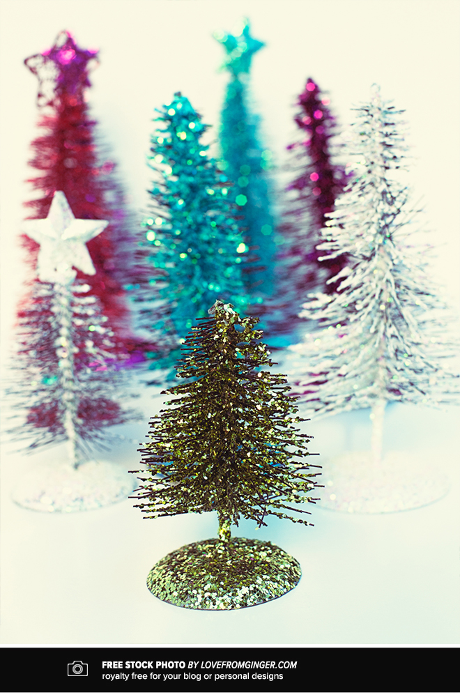 FreeSTockPhotoChristmasTreesLFG